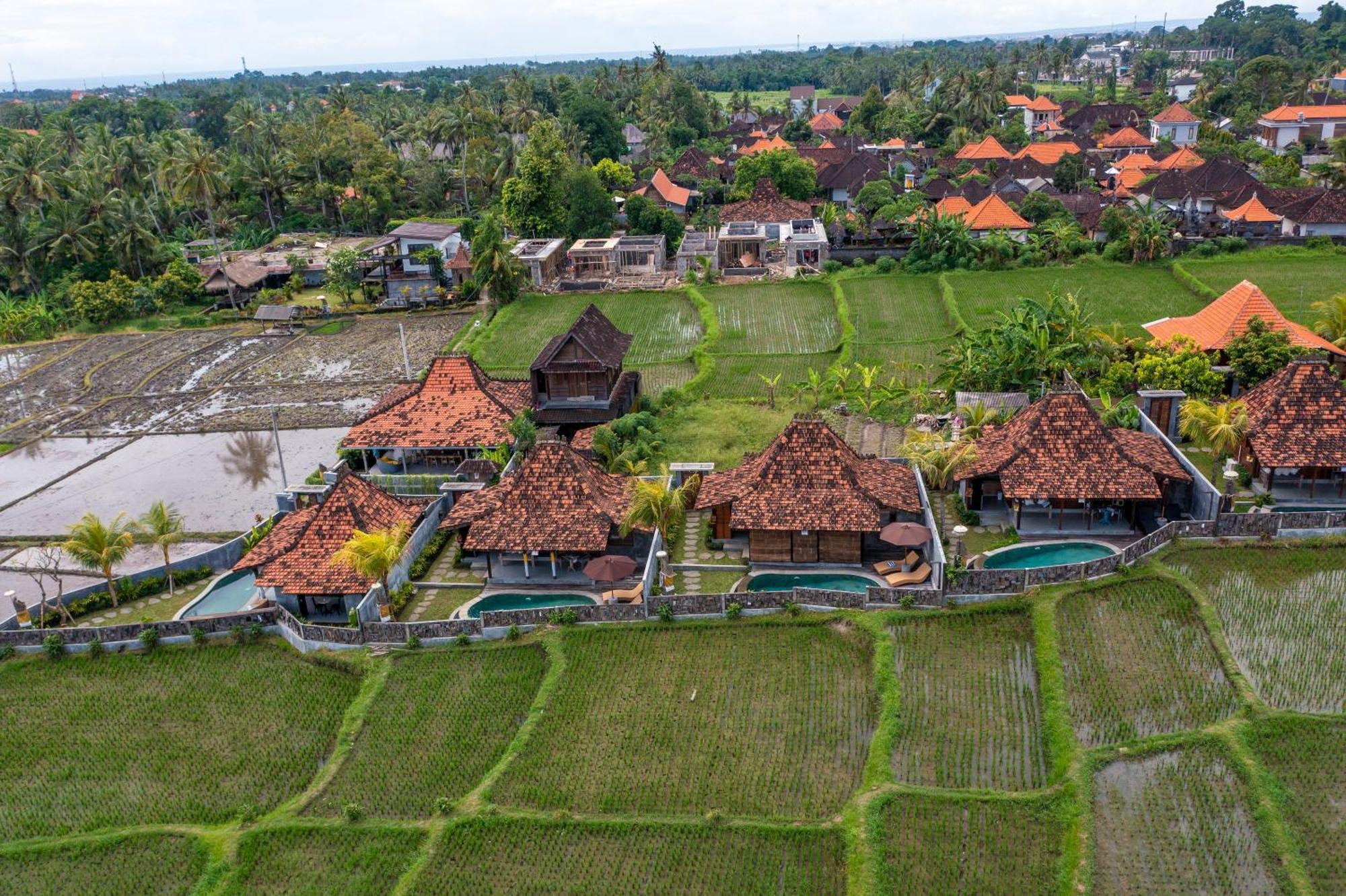 Kayu Senses - Private Villas Around Endless Ricefield Ubud Extérieur photo