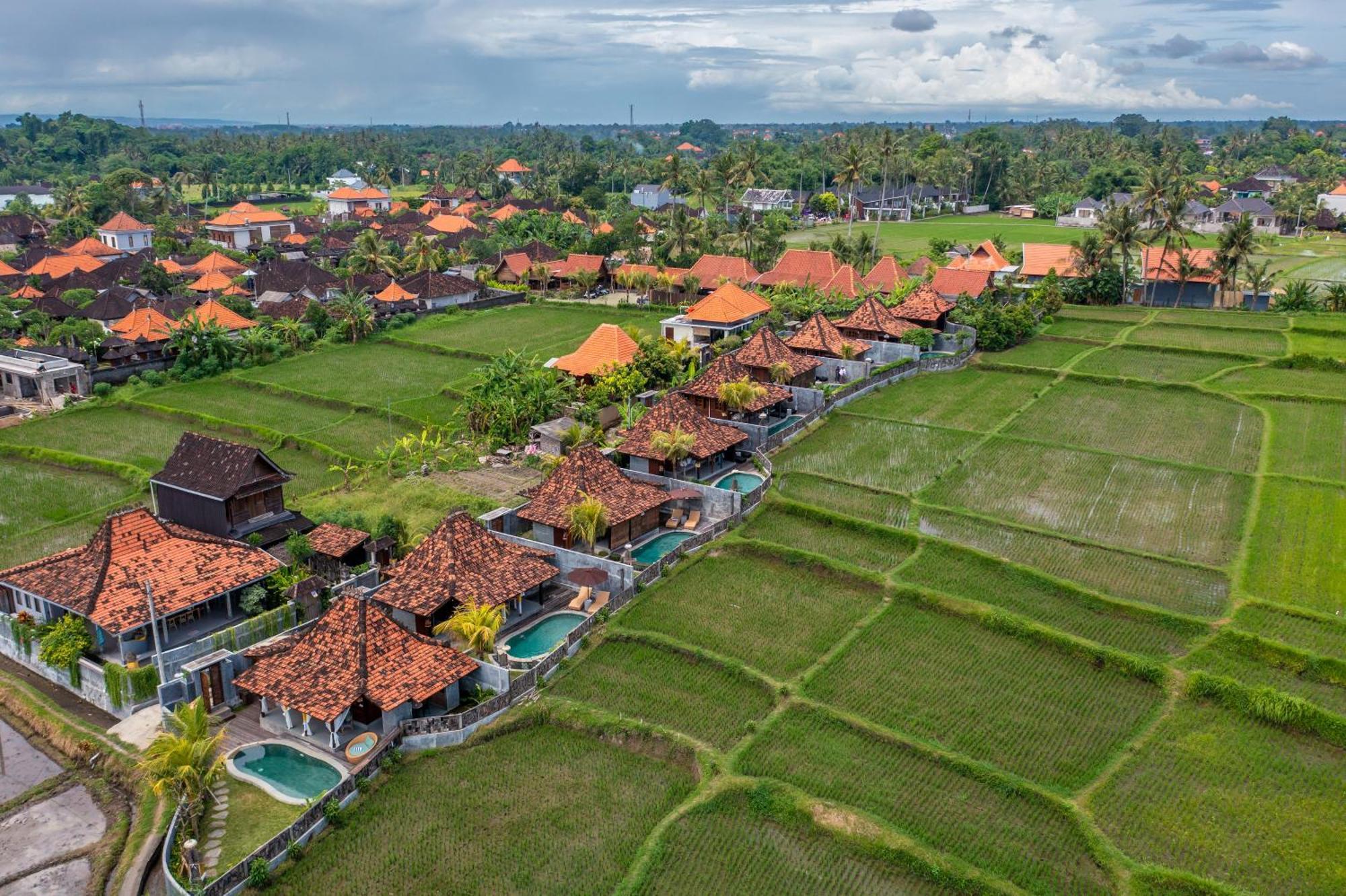 Kayu Senses - Private Villas Around Endless Ricefield Ubud Extérieur photo